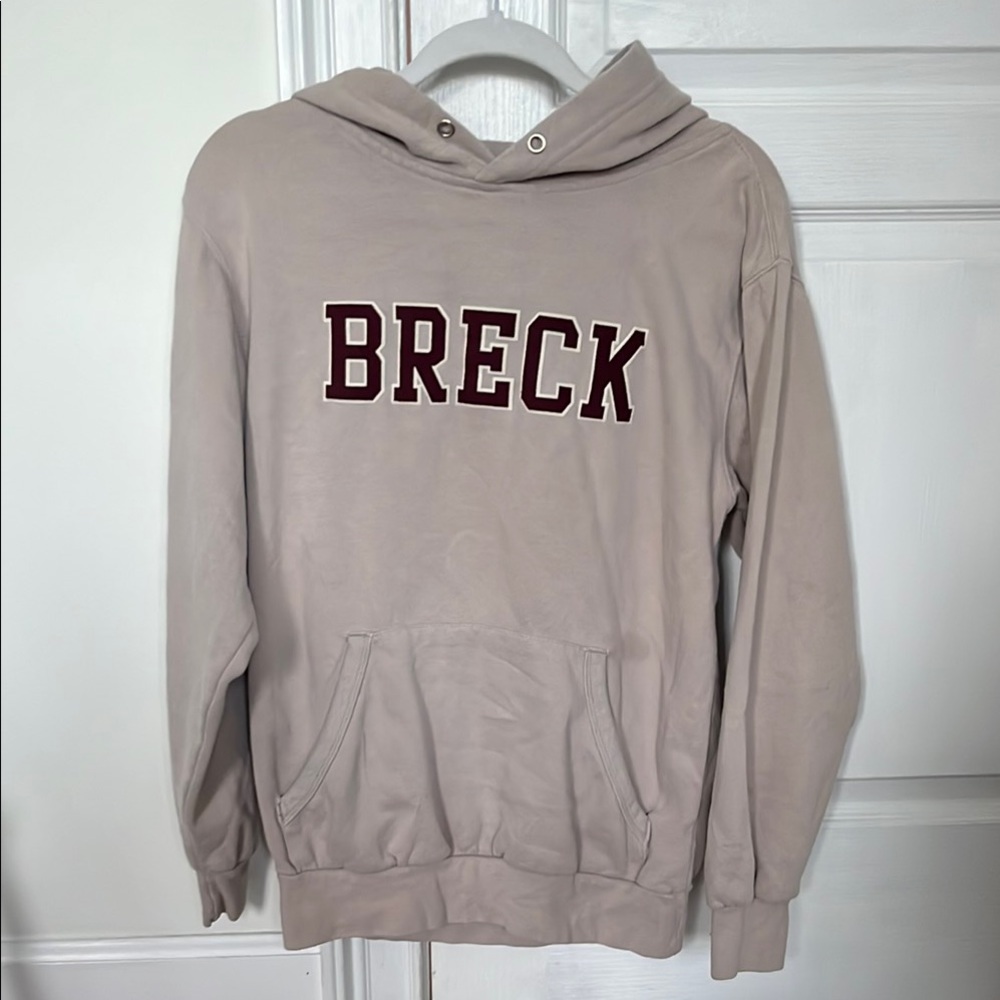 MV Sport Vintage Fleece Hoodie in Gray